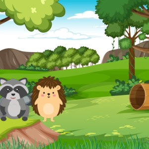 English Story Series – Racoon and Porcupine Explore Top of the Tree
