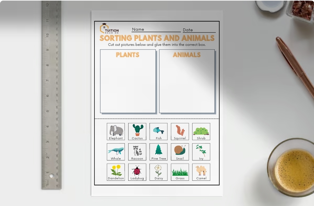 Worksheets: Sorting Plants and Animals