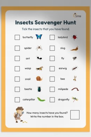 Insects Scavenger Hunt