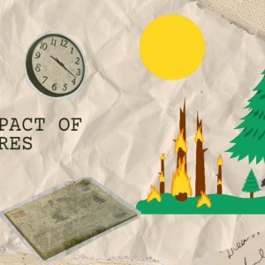 The Impact of Wildfires