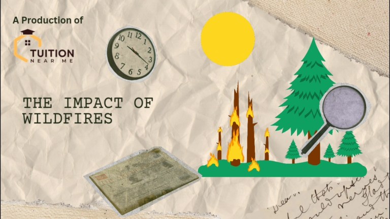 The Impact of Wildfires