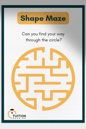Shape Maze
