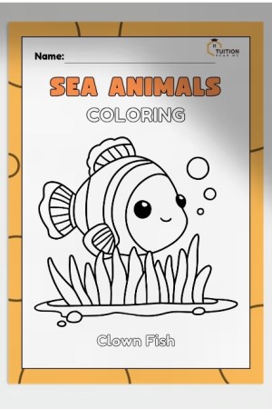 Sea Animals Coloring