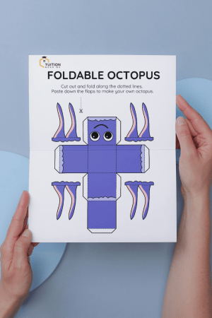 Foldable Octopus Origami