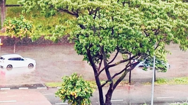 暴雨受困车内 水淹至门把吓坏宝马嬷