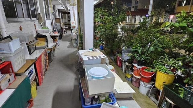 阿叔被指“霸”走廊 种百盆植物堆杂物