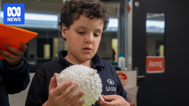 How 3D models are becoming a ‘game changer’ for vision impaired students