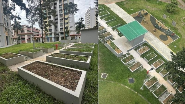 蔡厝港园圃被批像坟墓 居民“怕怕”绕道行