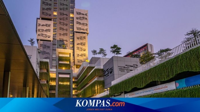 4 Bidang Ilmu Binus Masuk Pemeringkatan Dunia THE WUR 2025 by Subject