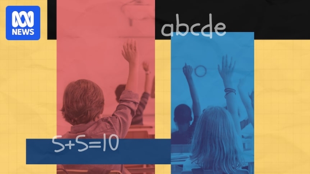 Greens propose abolishing fees for public schools across Australia