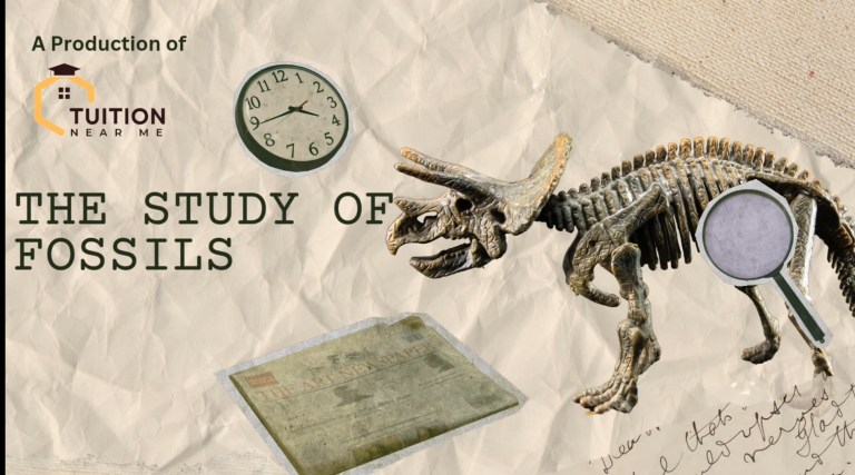 Free: The Study of Fossils