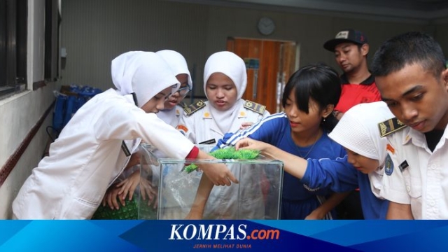 CPPETINDO Sapa SMKN 36 Jakarta, Edukasi Siswa Jadi Pebisnis Ikan Hias Masa Depan