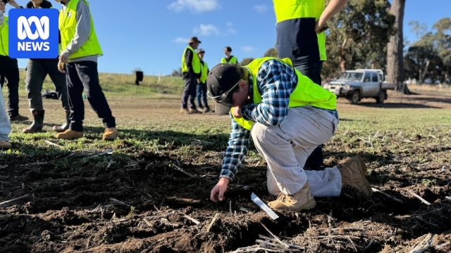 Farming classes reinstated as schools take on specialist agriculture subjects