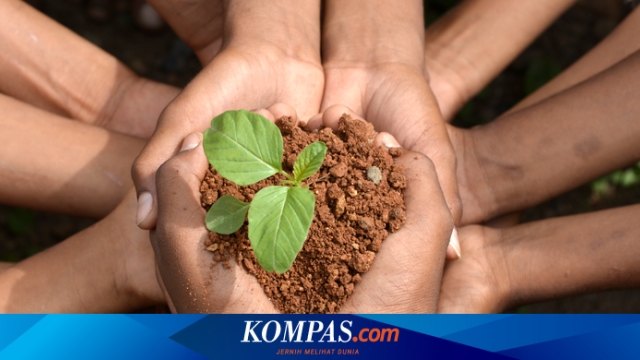 Green School di Kepulauan Seribu Bekali Siswa Literasi Lingkungan, Peduli Krisis Iklim
