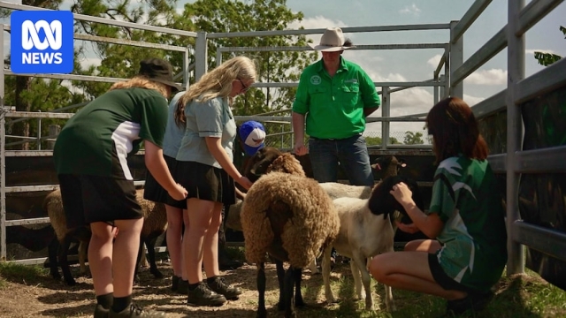 The surprising reason this Brisbane high school turned its results around