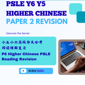 六年级五年级小六会考高级华文试卷二 阅读理解复习 Don’t Miss Out! Y5 P6 PSLE Higher Chinese Paper 2 Comprehension Revision