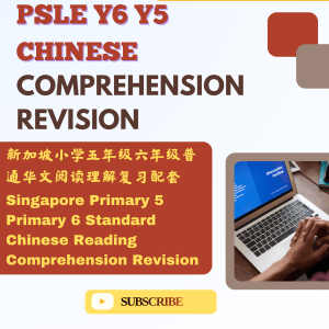 新加坡小学五年级六年级普通华文阅读理解复习配套一Limited Offer Singapore Primary 5 Primary 6 Standard Chinese Reading Comprehension Revision